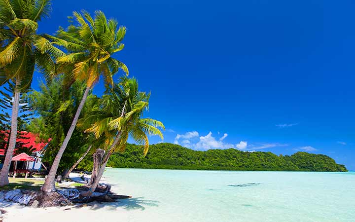 Iles Vierges Britanniques (Tortola)